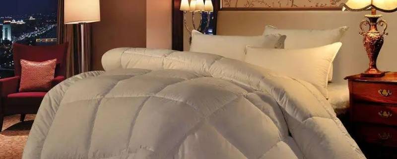 为什么酒店的被子又轻又暖和（酒店的被子为什么很暖和）