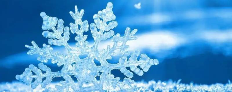 雪花象征 雪花象征着什么