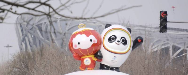 冰墩墩规格是多少（冰墩墩长什么样）