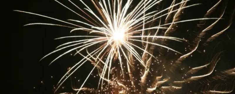 烟花的品种及名字有哪些（烟花品种介绍）