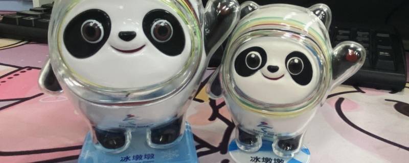 冰墩墩是硬的还是软的（冰墩墩长什么样）