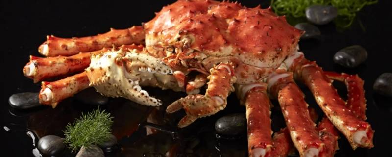 帝王蟹别名 帝王蟹 学名