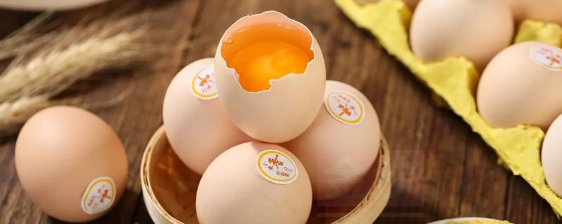 蛋类有哪些 可以吃的蛋类有哪些
