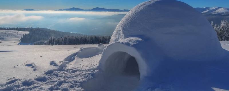 因纽特人是什么人种 生活在北极的因纽特人是什么人种