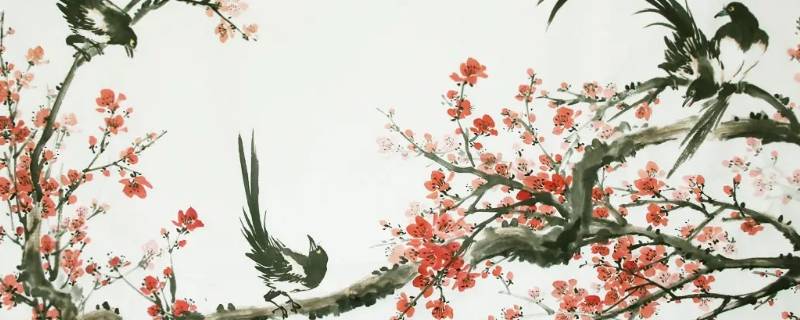 小鸟在梅花枝上的寓意 鸟在梅花里的寓意