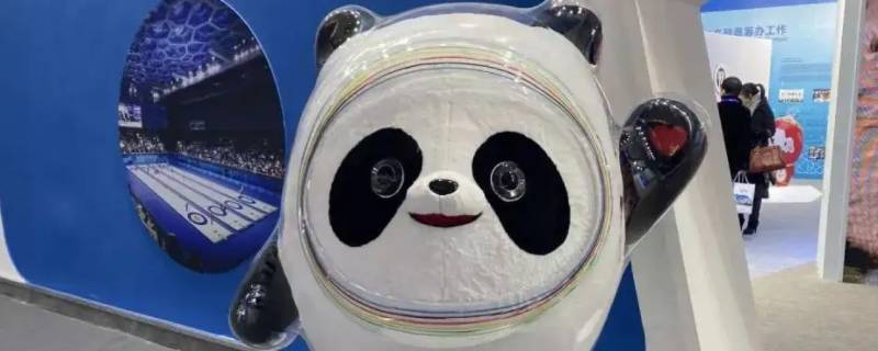 冰墩墩是男孩还是女孩 冰墩墩是男孩还是女孩?雪蓉蓉是男孩还是女孩?