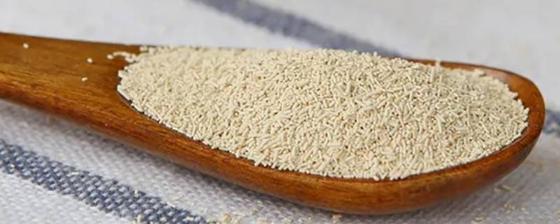 高活性干酵母使用方法 高效活性干酵母怎么用