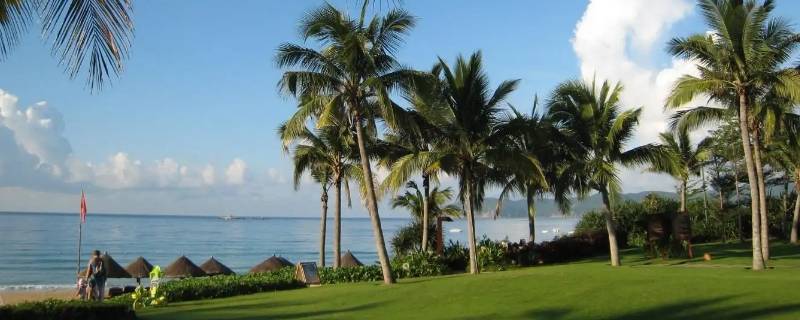 三亚是热带还是亚热带（三亚属于亚热带吗）