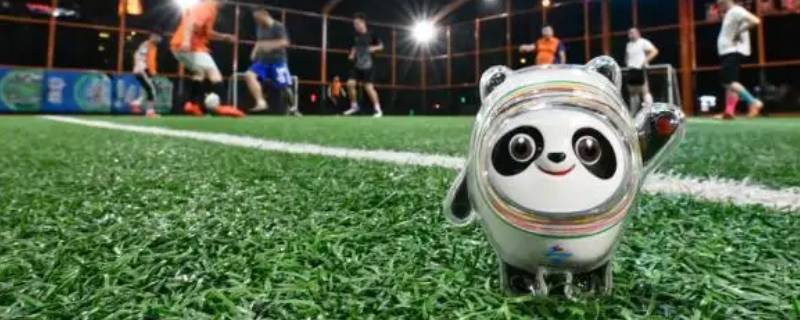 冰墩墩身上的图案是什么（冰墩墩身上的图案是什么颜色）