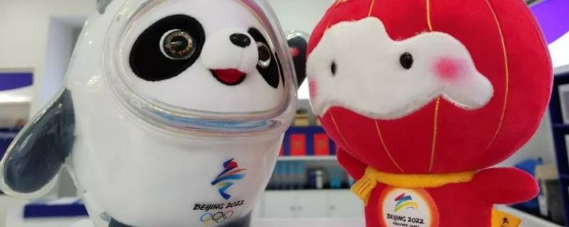 冰墩墩和谁是吉祥物（冰墩墩吉祥物的含义）