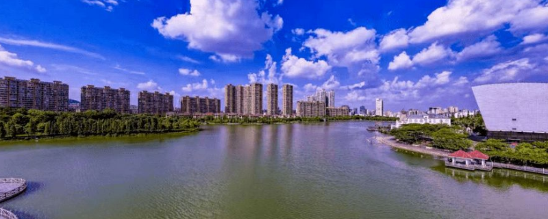 工小美指的是什么(工小美内容)