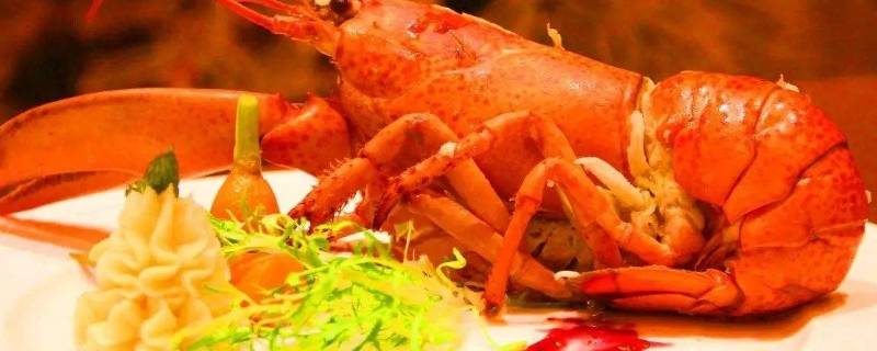 波士顿龙虾死了可以冷藏多久 波斯顿龙虾死了超过多长时间不能吃