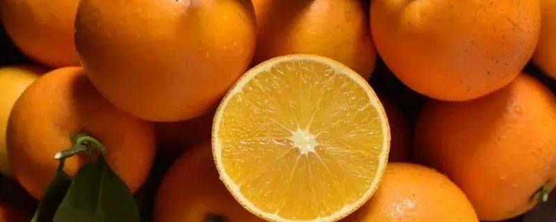 冰糖橙的酸甜比例是多少（冰糖橙怎么挑选比较甜）