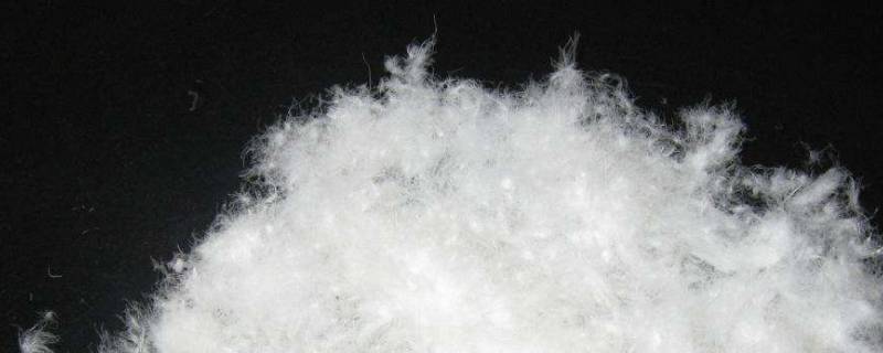 90白鸭绒和80有啥区别（90白鸭绒跟80白鸭绒有什么区别）