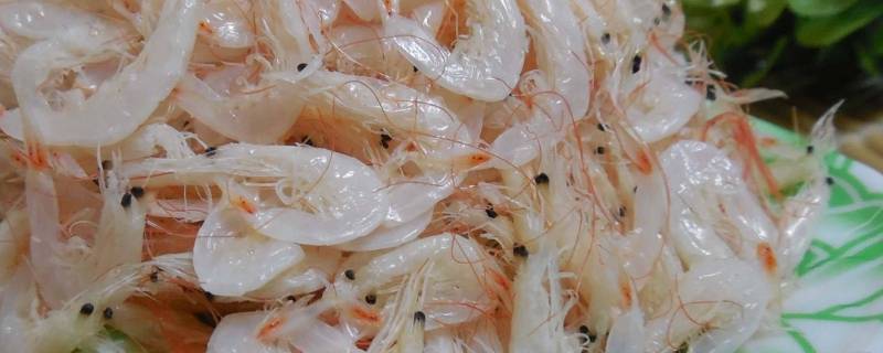 虾米怎么储存放冷冻还是冷藏（虾米是放在急冻还是冷藏）