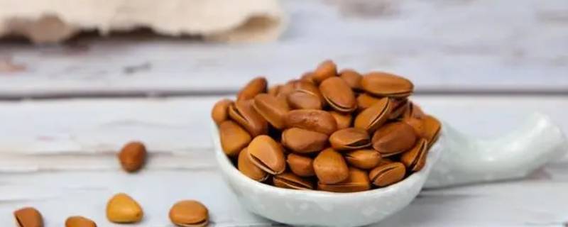 松果里面为什么没有松子（没有松子的松果）