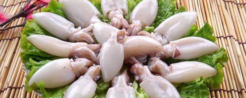 淡水墨鱼和海水墨鱼有什么区别（淡水墨鱼和海水墨鱼有什么区别图片）