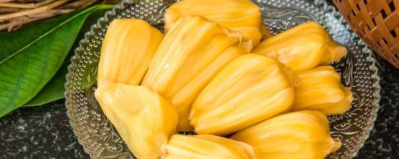 冬天菠萝蜜打开可以放多久 冬天菠萝蜜一整个能放多久