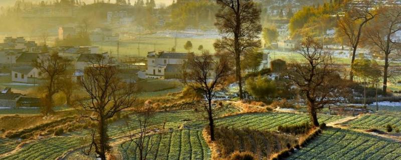 乡土社会的基本特点是什么 乡土社会的基本特点是什么,为什么