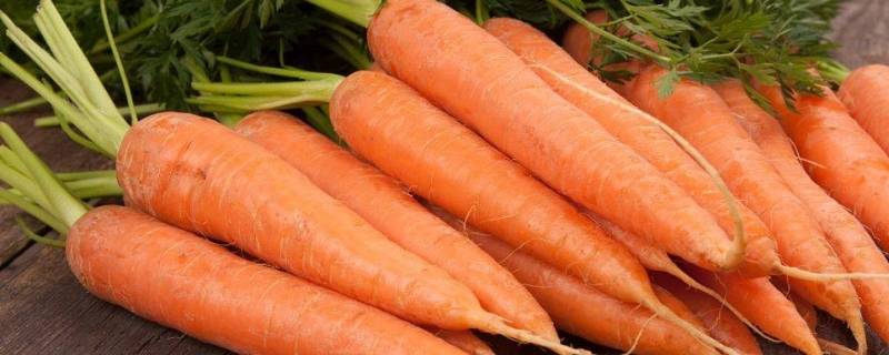 当季蔬菜11-12月份有哪些（11月有什么蔬菜是当季的）