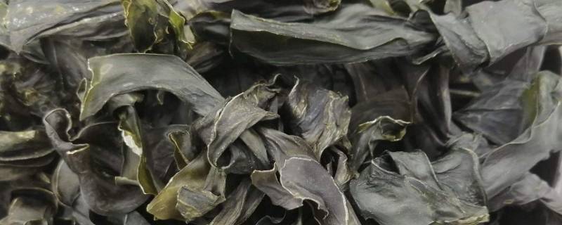 海带干要泡多久才能煮（干海带要泡多久煮多久）