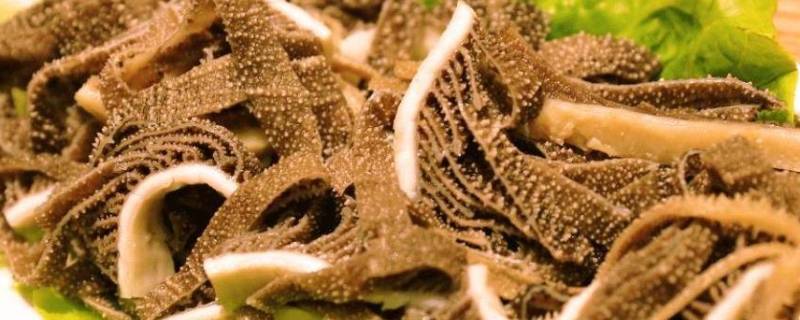 牛百叶可以冷冻保存吗（牛百叶可以放冰冻吗）