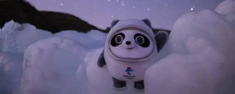 冰墩墩是什么呀（“冰墩墩”）