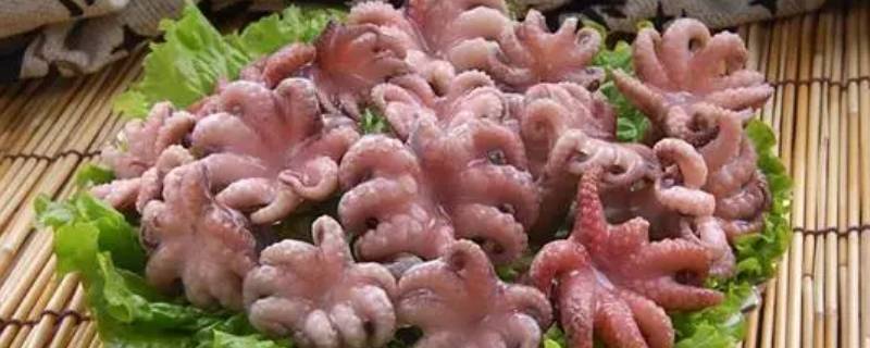 巴蛸和八爪鱼的区别 巴艄就是八爪鱼吗