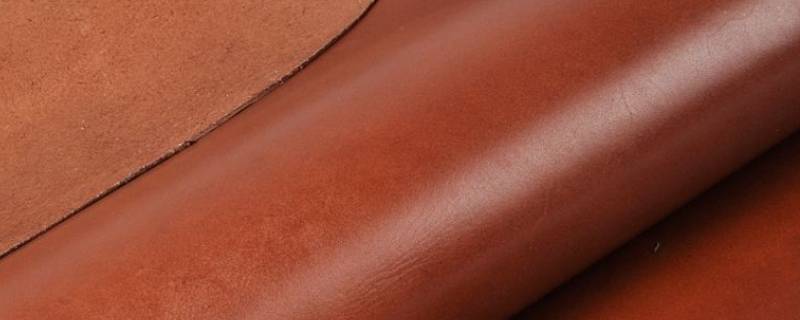 树膏牛皮是什么皮（树膏牛皮是什么皮质）