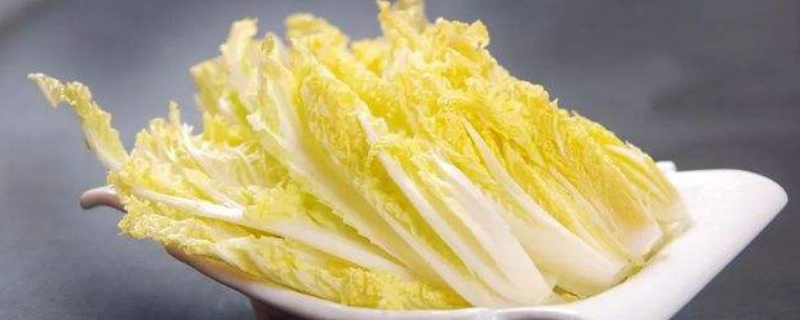 大娃娃菜和小娃娃菜有什么区别 大娃娃菜和小娃娃菜有什么区别呢