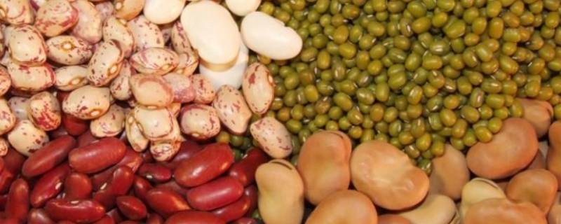 哪些食物属于粗粮（什么是粗粮食物有哪些）