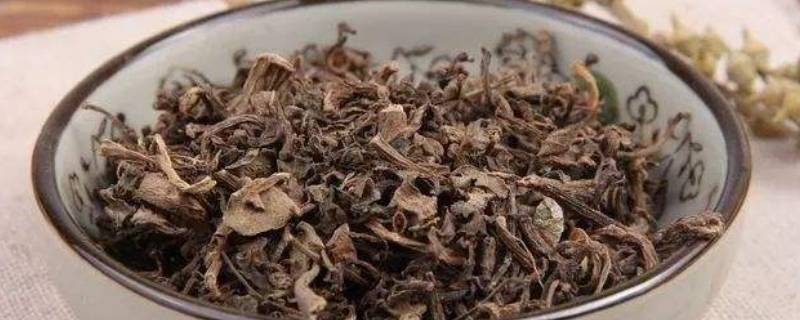 干马齿苋用热水泡还是冷水泡 干马齿苋用什么水泡