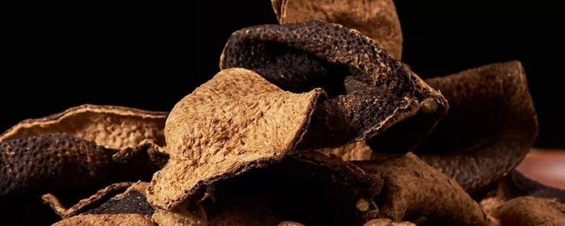 陈皮到底是什么皮做的（陈皮是啥做的）