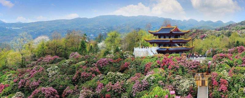 威宁县县庆是几号（威宁县的县庆是哪天）