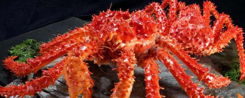 帝王蟹死后多久不能吃 帝王蟹死了以后能吃吗