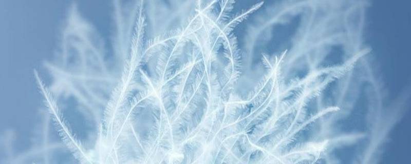 羽绒服粘上油污怎么清洗（羽绒服沾上油污怎么清洗）