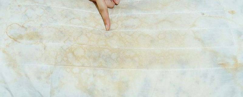 枕头芯脏了该怎么清洗（枕芯很脏怎么洗的干净）