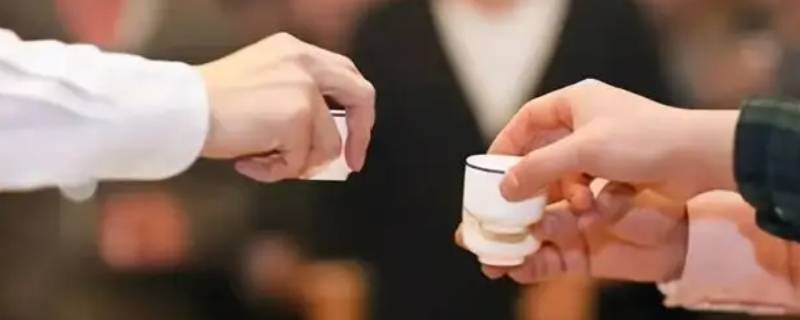 以水代酒在场合上怎么说（以水代酒在场合上怎么说话）