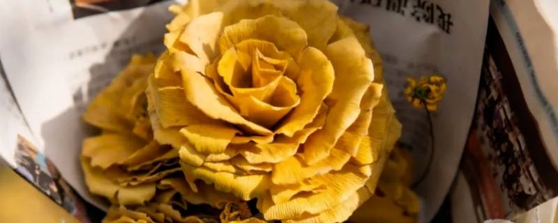 银杏叶做玫瑰花能保存多久（银杏叶子做玫瑰花）