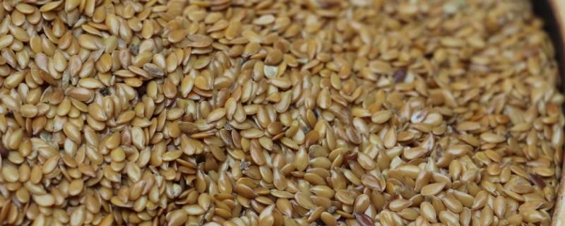 胡麻又叫什么（胡麻又叫什么油）