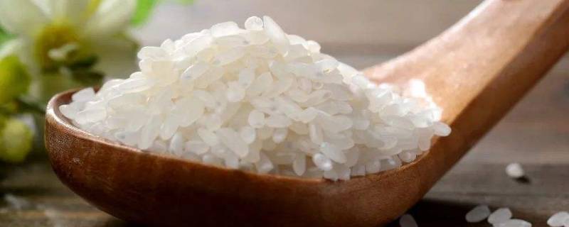 几粒大米的长大约是1厘米 多少粒大米的长大约1厘米