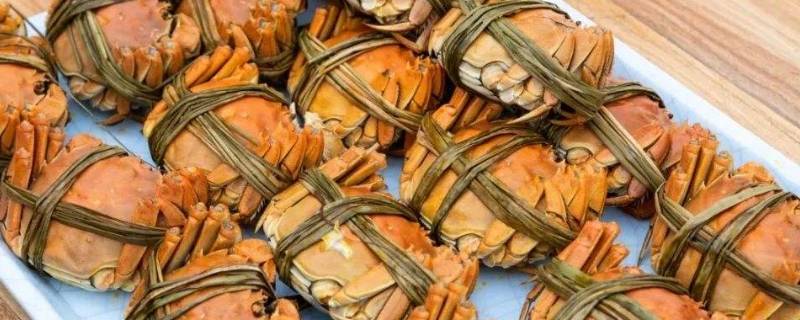 怎么绑大闸蟹（怎么绑大闸蟹最快）