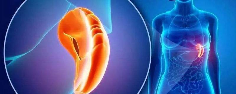 被称为后天之本的是 被称为后天之本的是哪个脏器