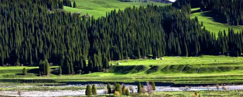 完整的伊犁河谷有多大（伊犁河谷多大面积）