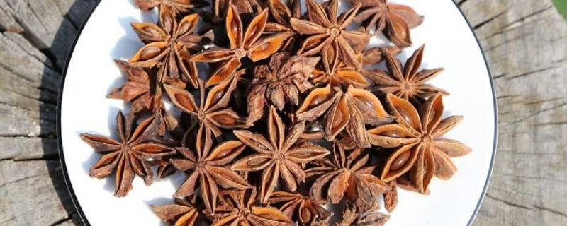 大料是八角吗 大料是不是就是八角