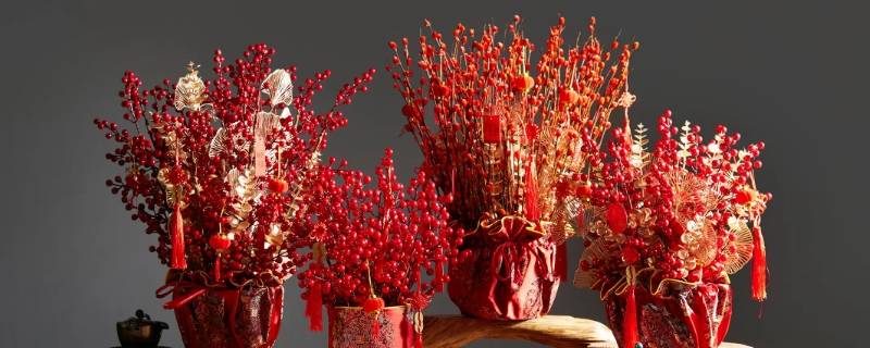 红色银柳掉色怎么回事 银柳掉色了,怎么补色