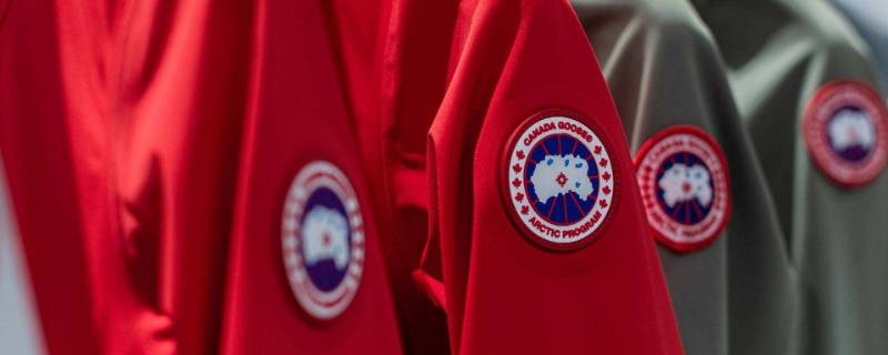 加拿大鹅哪个国家 加拿大鹅哪个国家最便宜