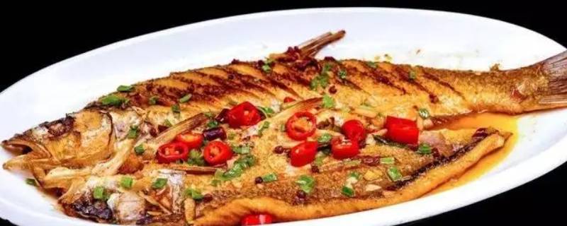 刁子鱼是什么鱼（湖北的刁子鱼是什么鱼）