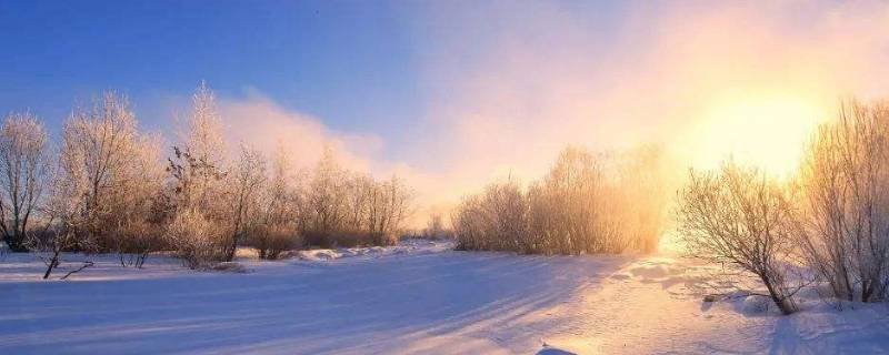 冬天是万物什么的季节（冬天是什么样的季节）