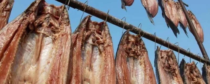 腌好的鱼要不要洗一下晒太阳 腌制鱼晒前要洗吗